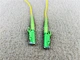 ap cord